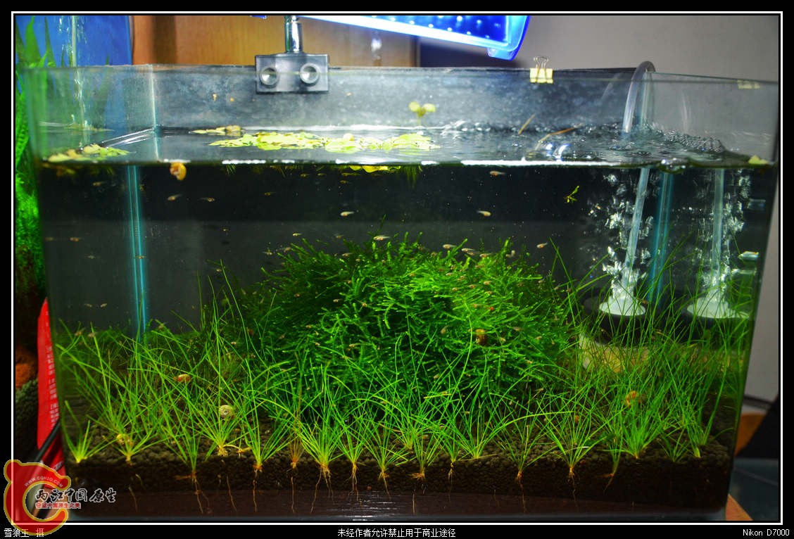 DSC_0784_副本.jpg
