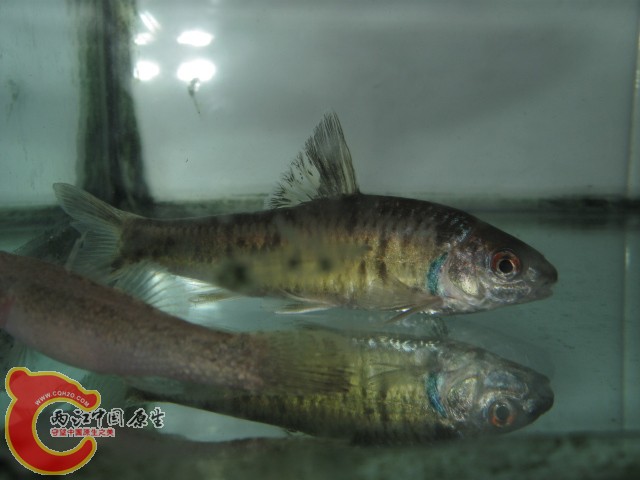IMG_3760.JPG