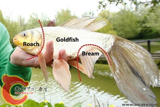 55.jpg