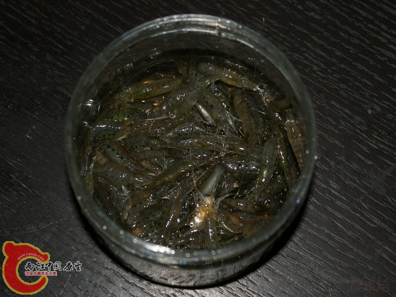 Food-1.jpg