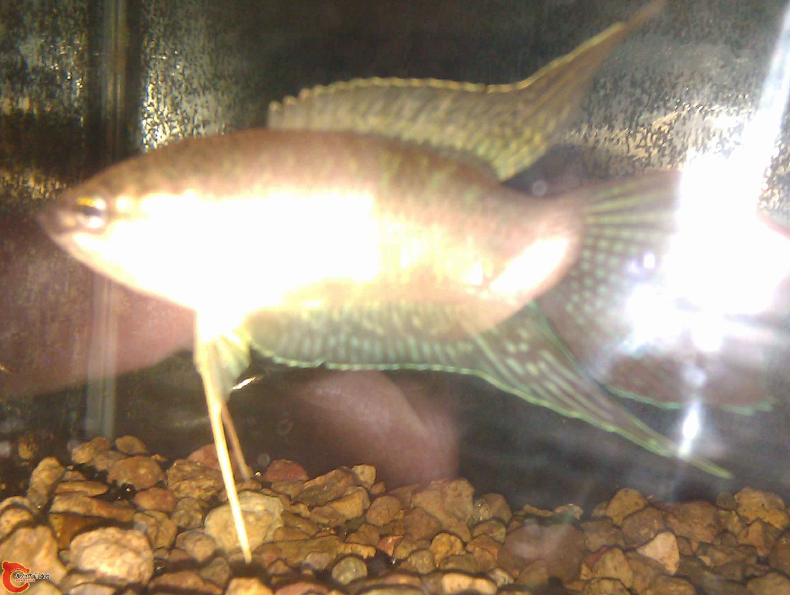 IMAG0419.jpg