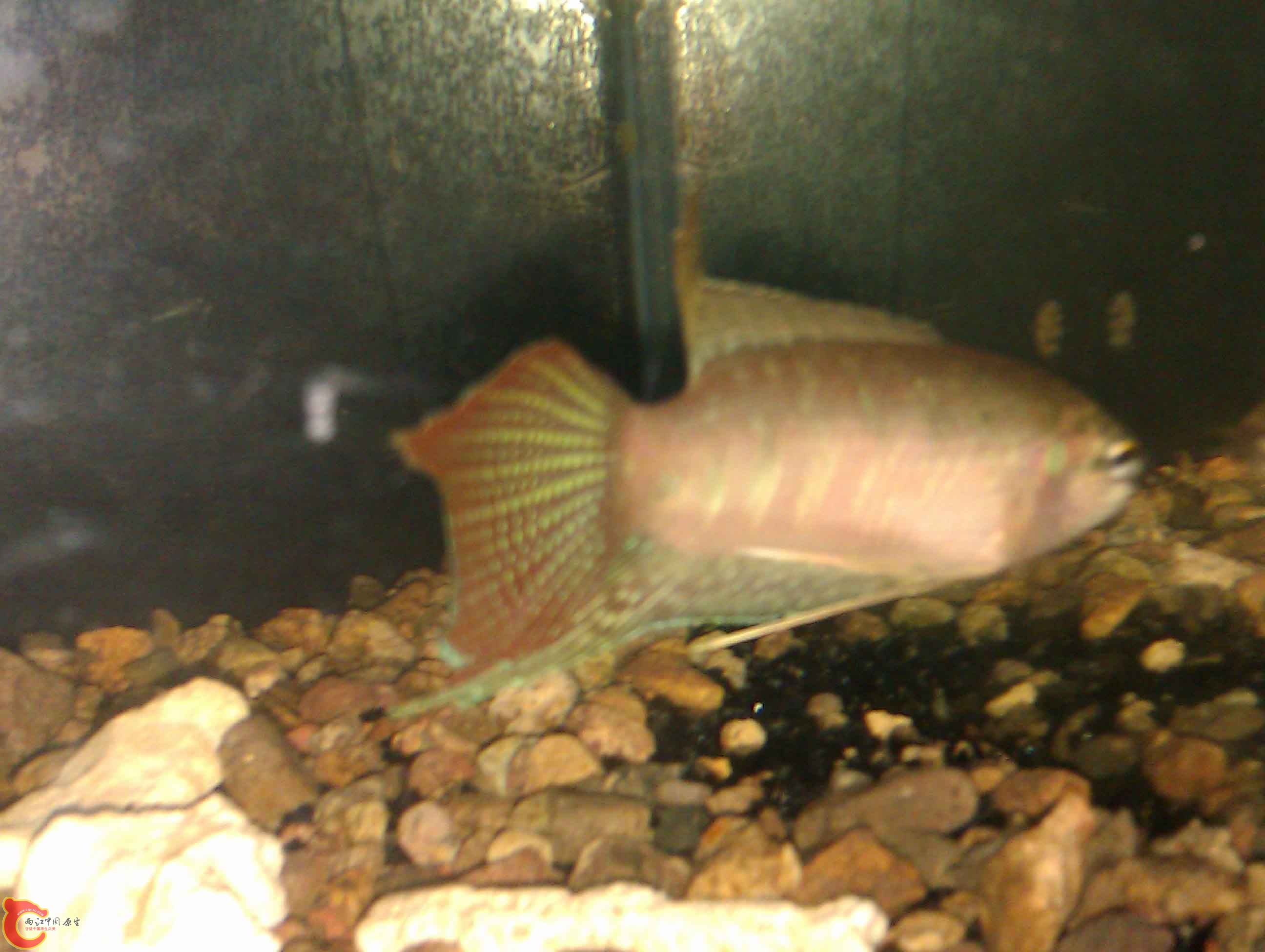 IMAG0421.jpg