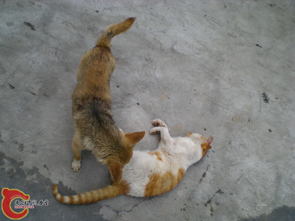 DSCN4209.JPG