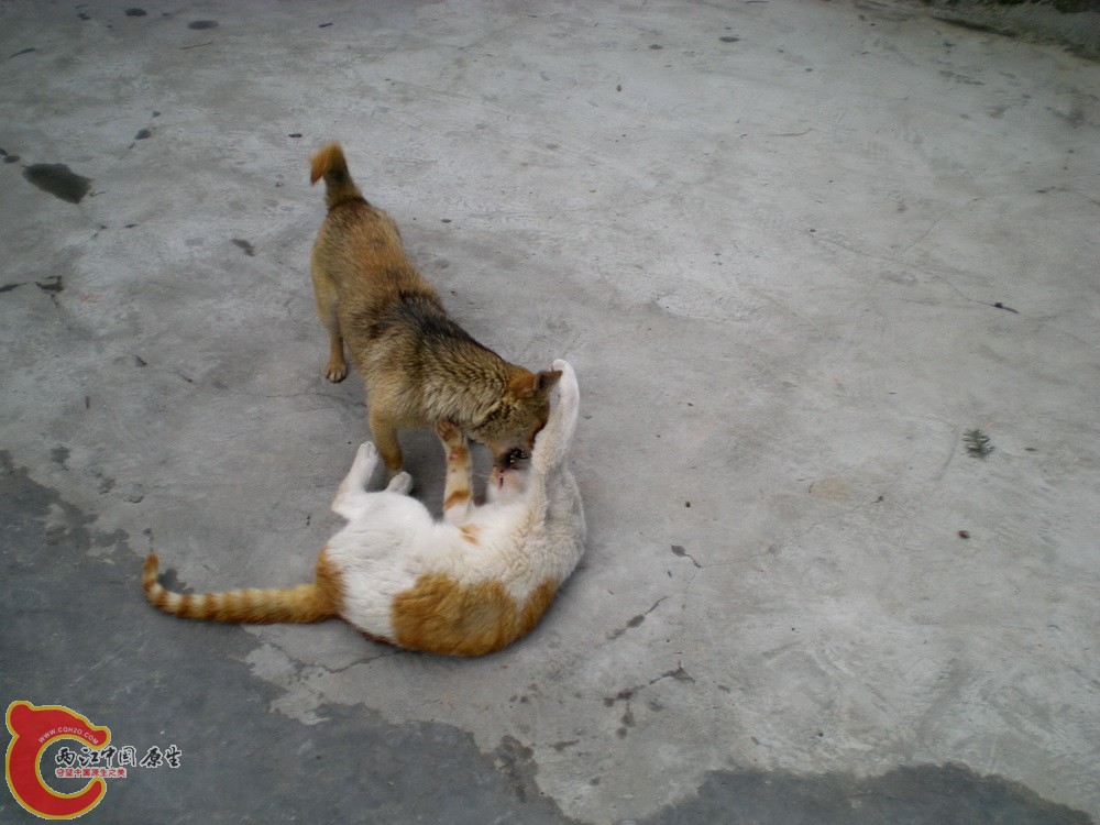 DSCN4212.JPG