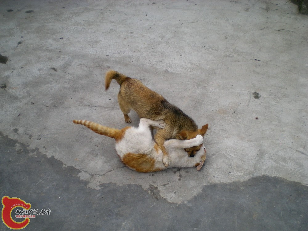 DSCN4214.JPG
