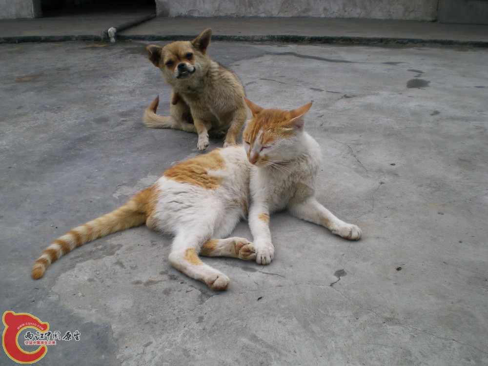 DSCN4217.JPG