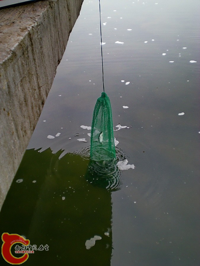 DSCN4173.JPG