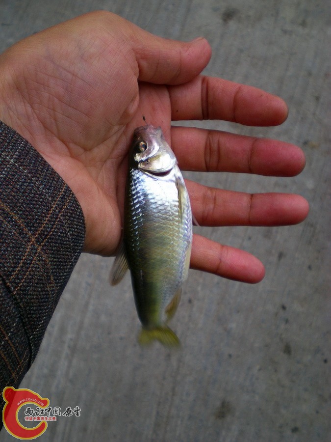 DSCN4174.JPG