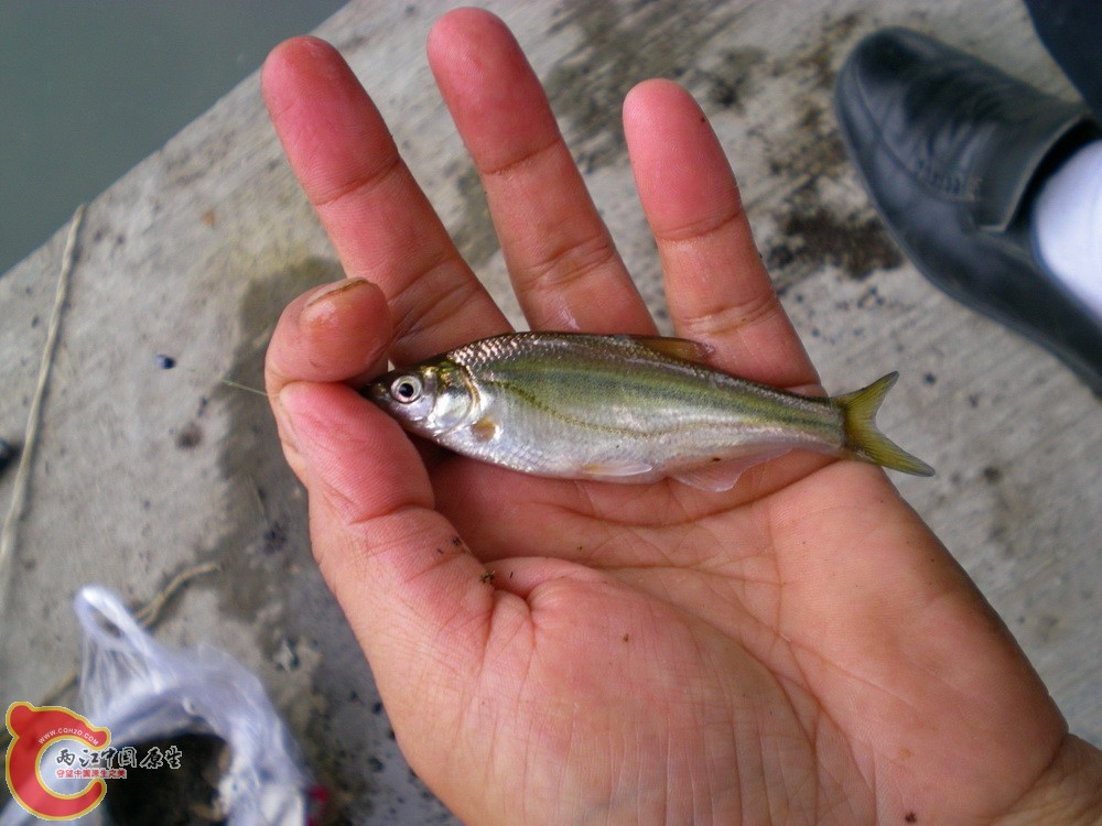 DSCN4175.JPG