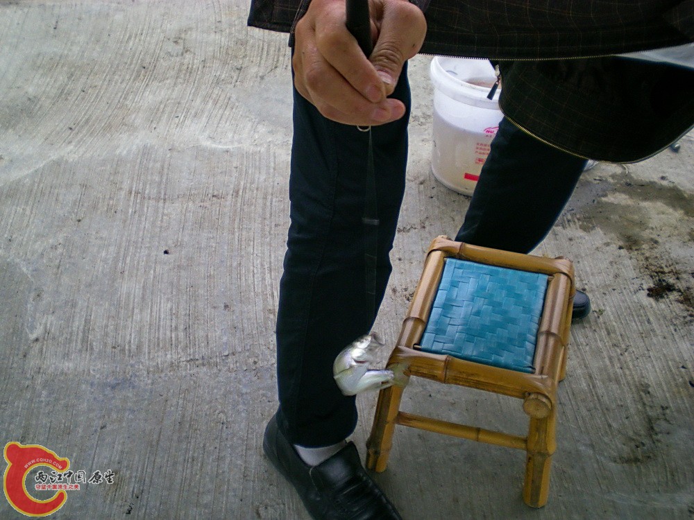 DSCN4176.JPG