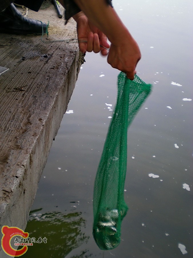 DSCN4172.JPG