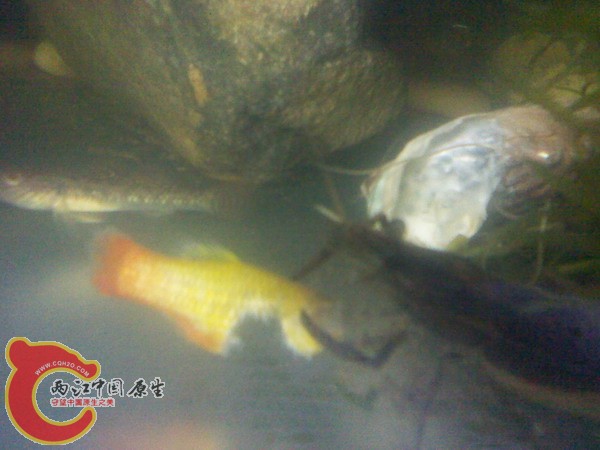 IMG_20120530_123956.jpg