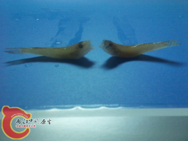 IMG_20120527_084717.jpg