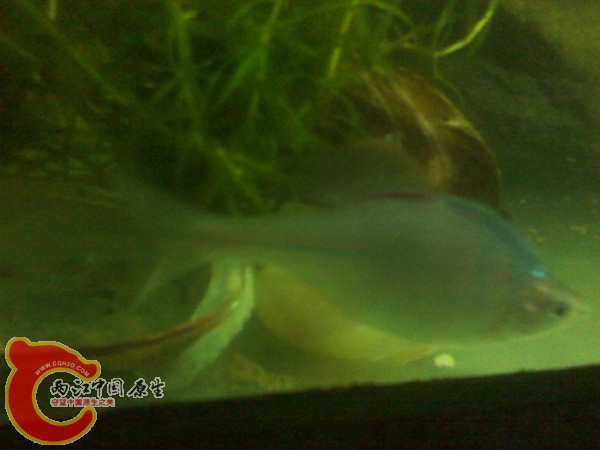 IMG_20120527_160206.jpg