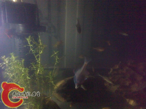 IMG_20120529_025908.jpg