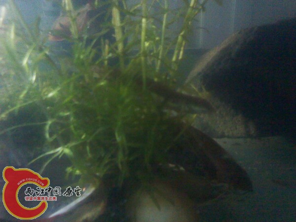 IMG_20120530_123758.jpg