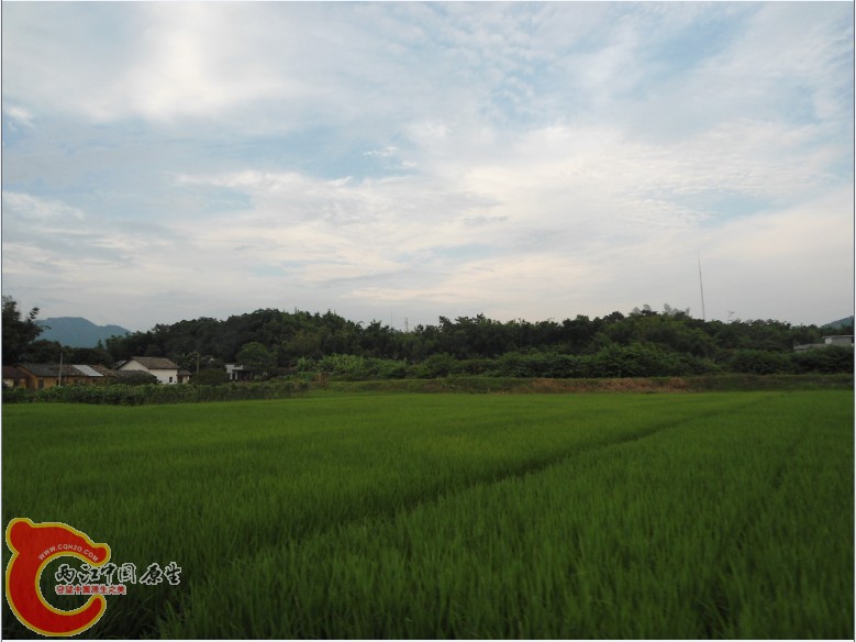 C68A4{[MZD6[Y~VTQEAS]AD.jpg