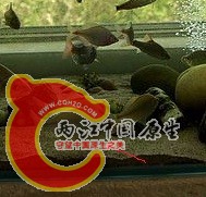 疑问.jpg