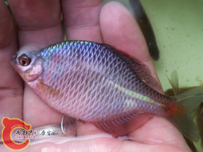 2012-05-26 17.28.561.jpg