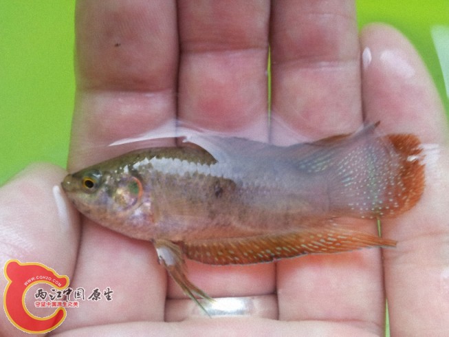 2012-05-26 17.35.161.jpg