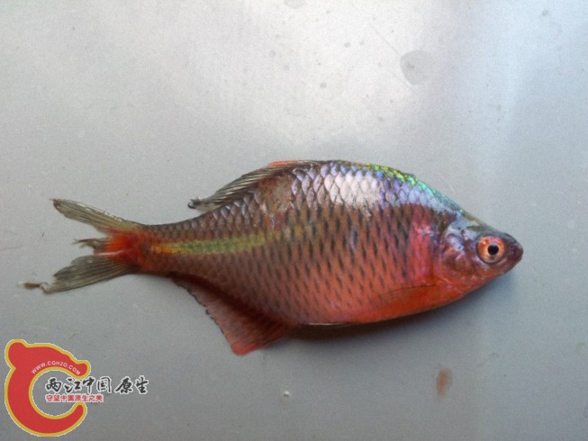 2012-05-30 12.30.141.jpg