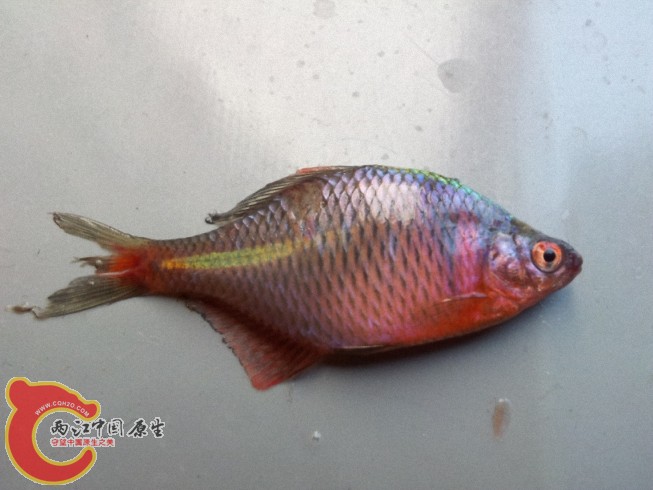 2012-05-30 12.30.211.jpg