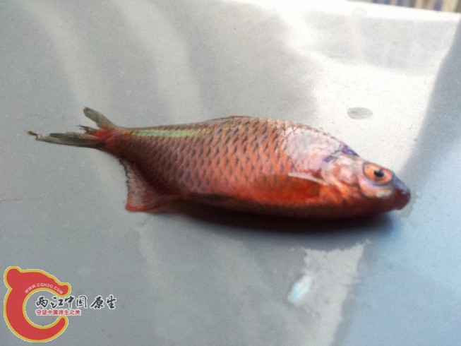 2012-05-30 12.31.261.jpg