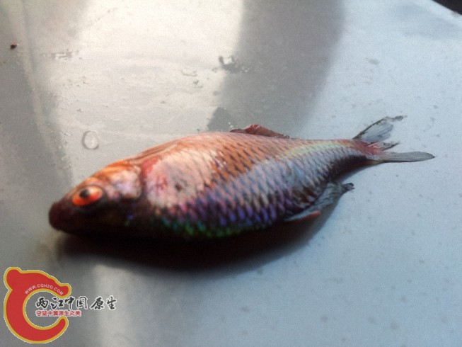 2012-05-30 12.31.431.jpg