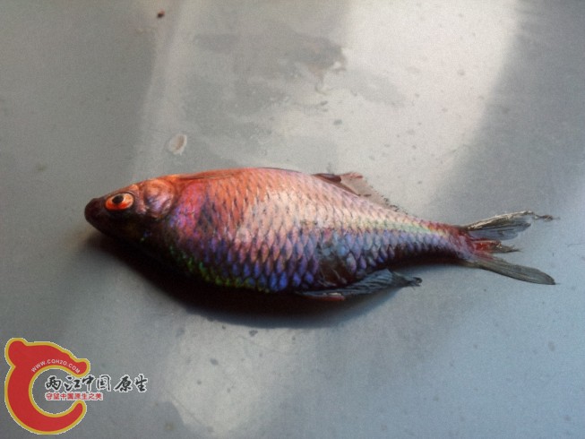 2012-05-30 12.31.521.jpg