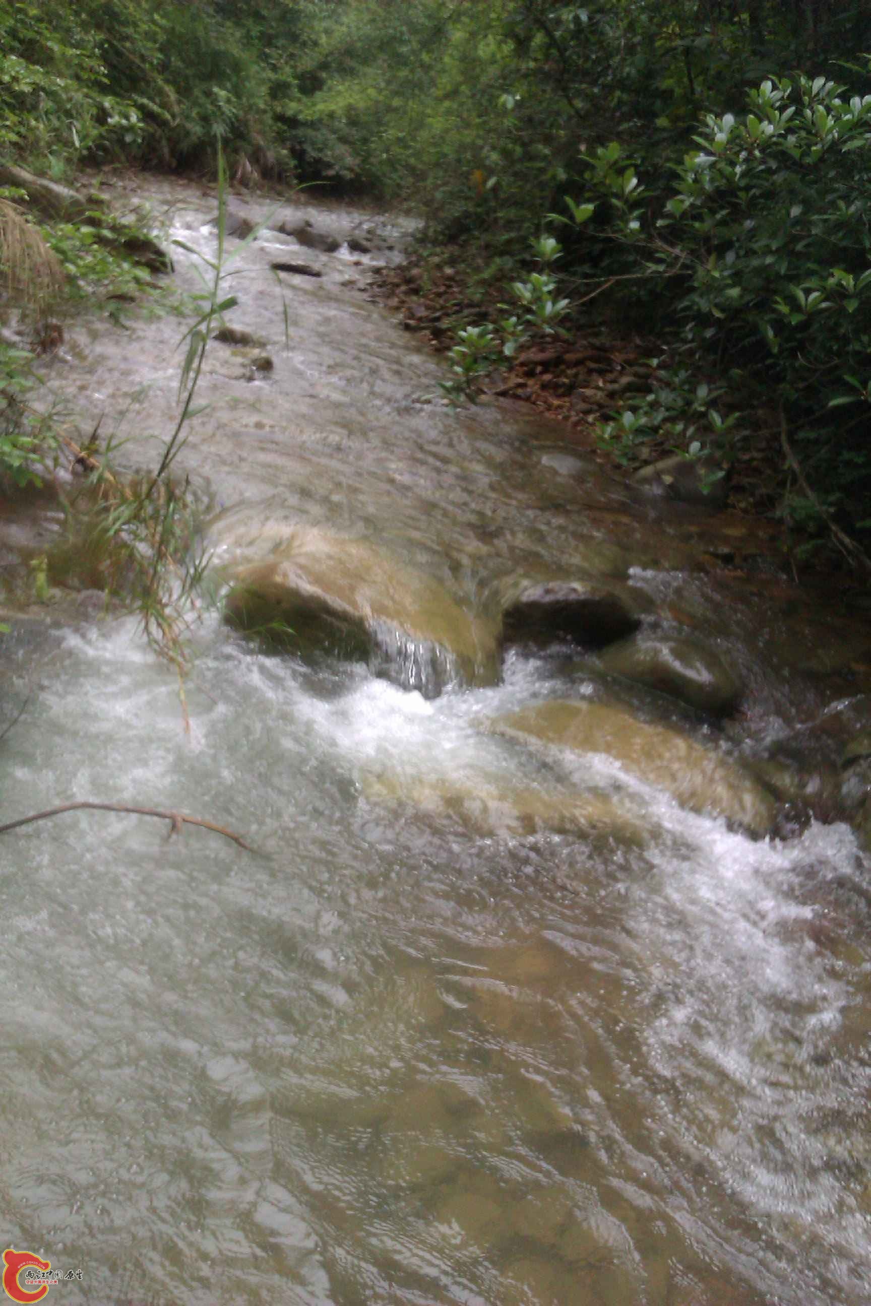 IMAG0528.jpg