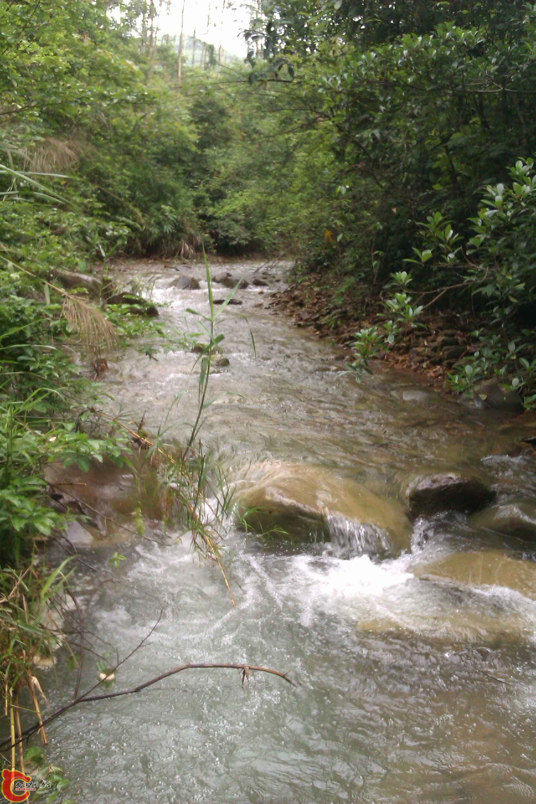 IMAG0529.jpg