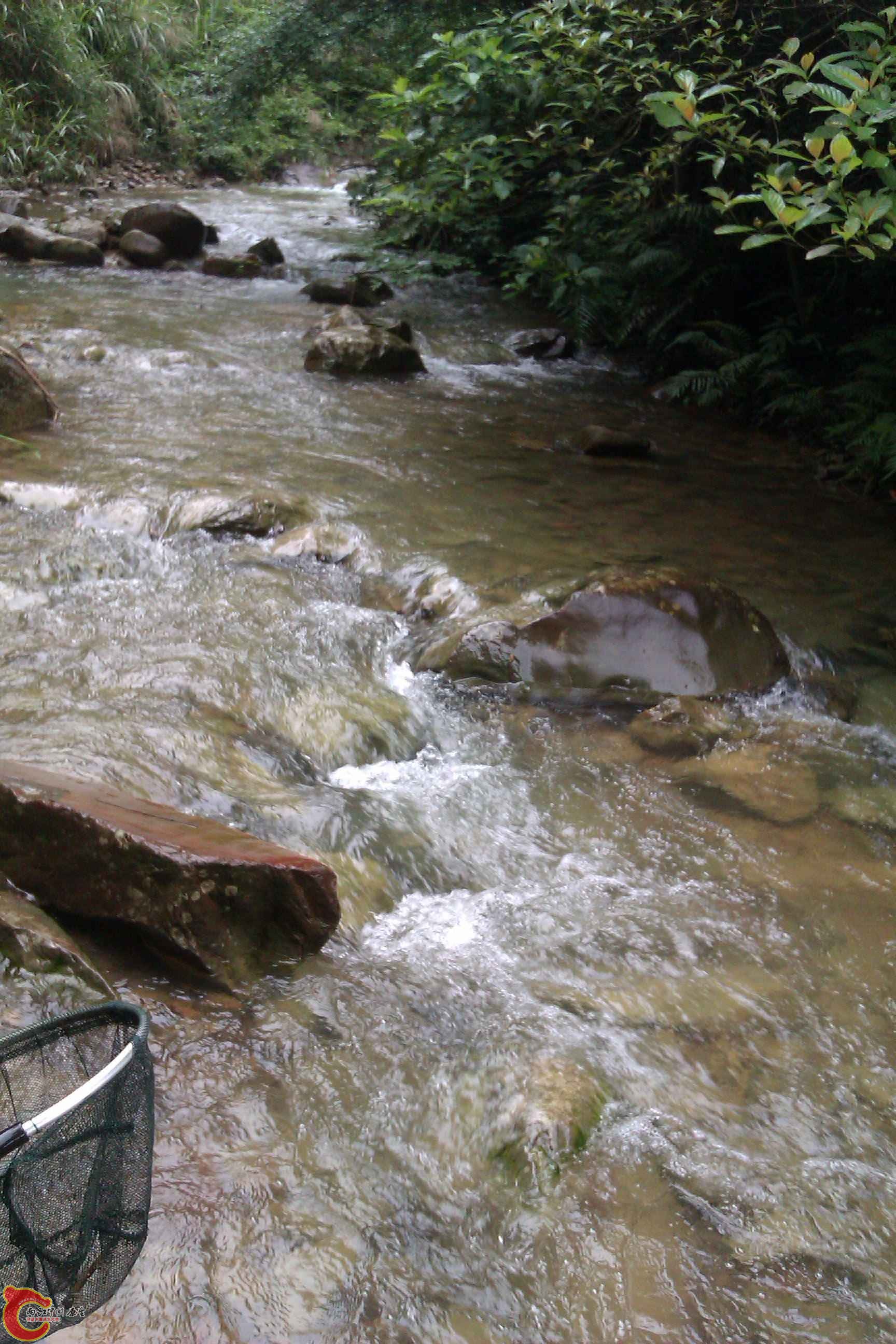 IMAG0533.jpg