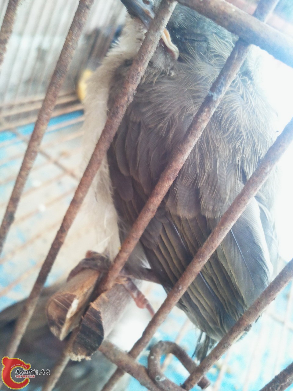 2012-05-31 12.27.31_调整大小.jpg