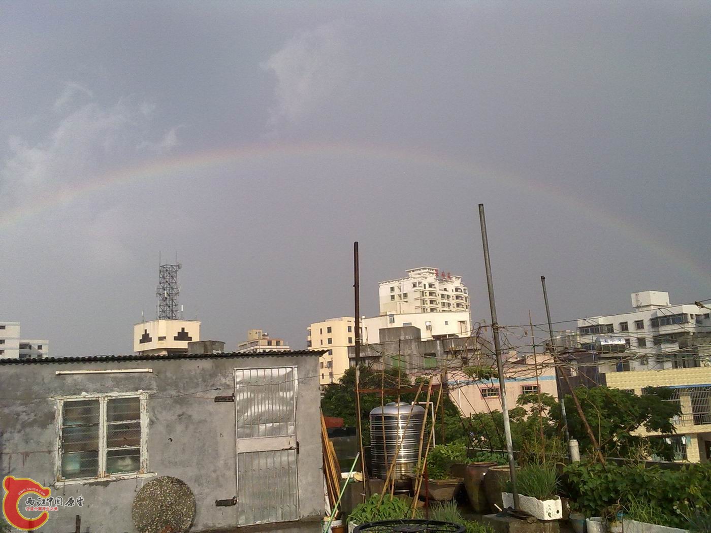 20120428913.jpg