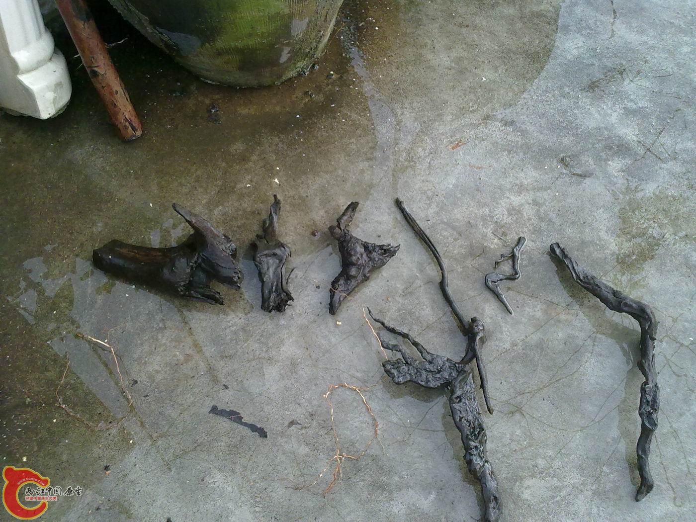 20120512916.jpg