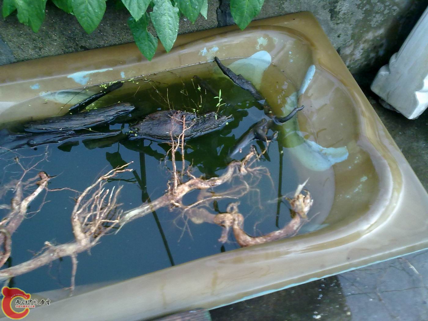 20120512922.jpg