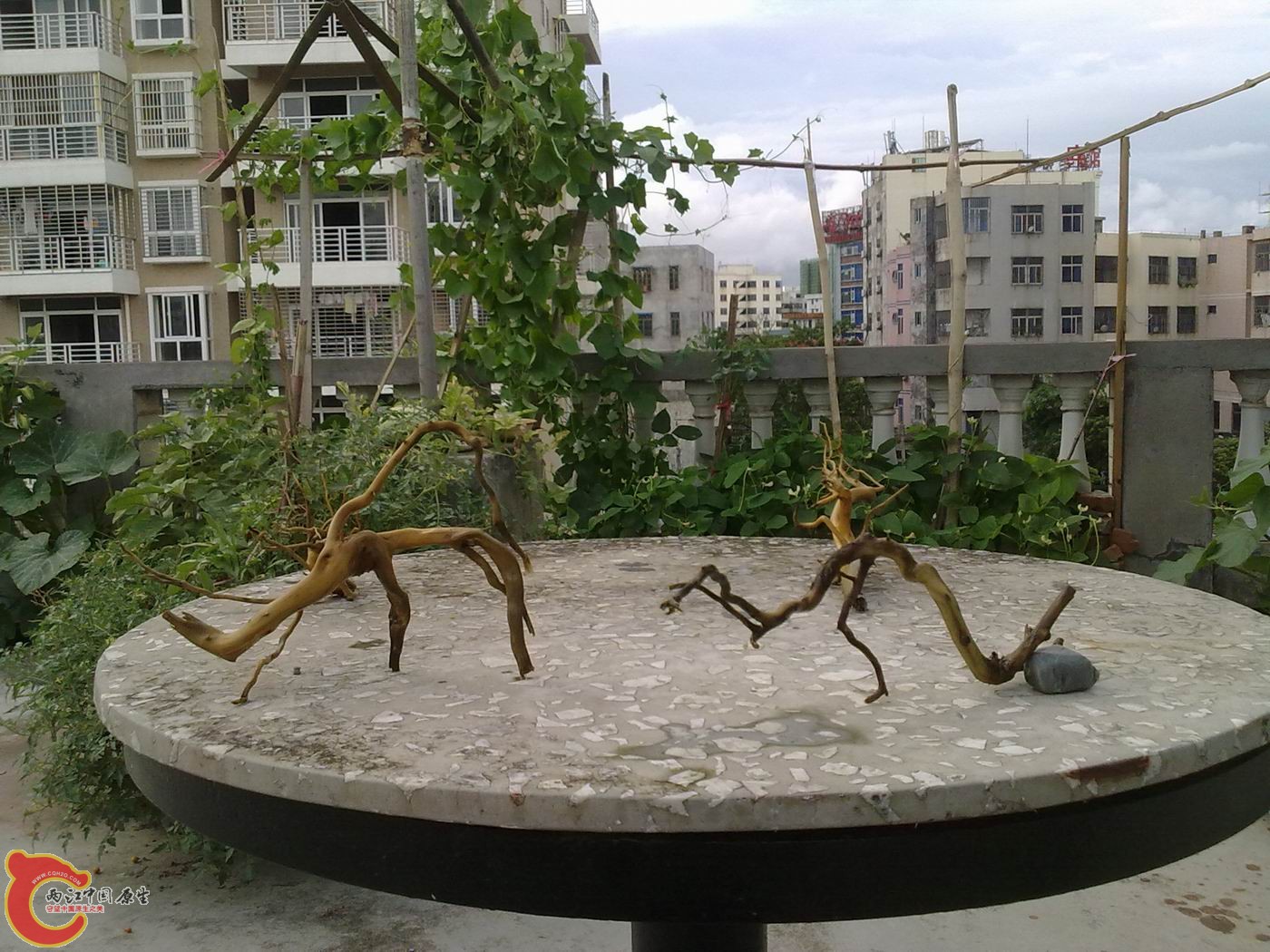 半成品