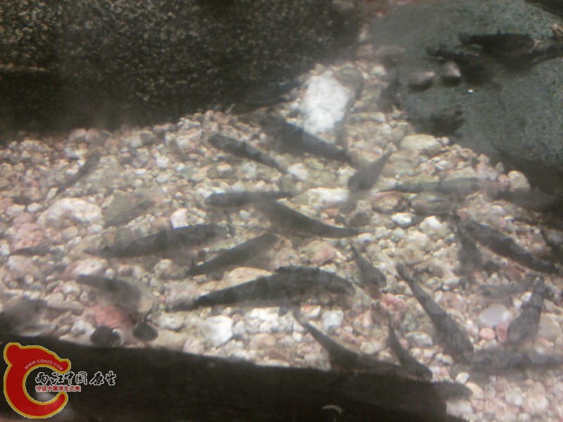 照片-0005.jpg