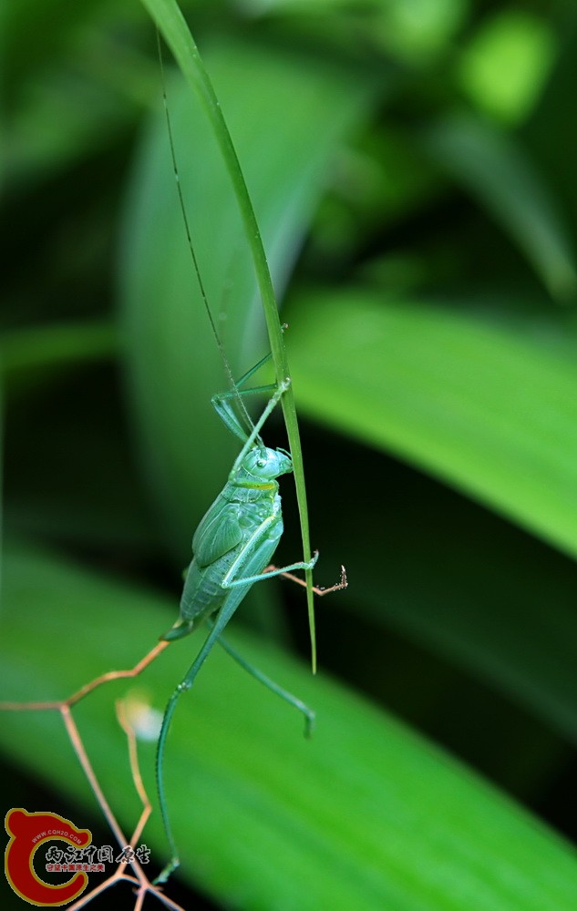 2012.06.01 017.jpg