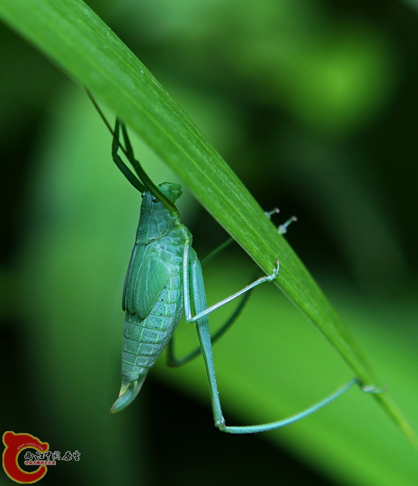 2012.06.01 022.jpg