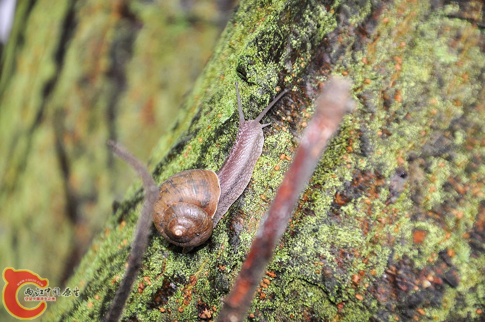 DSC_0301.jpg