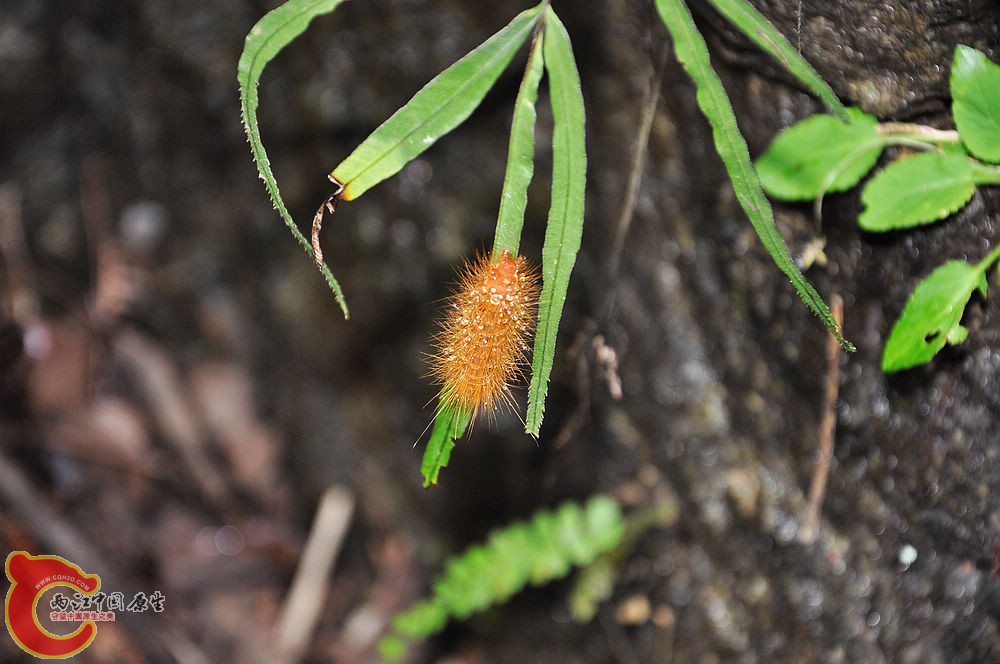 DSC_0320.jpg