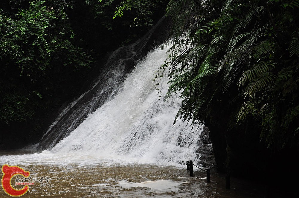 DSC_0562.jpg