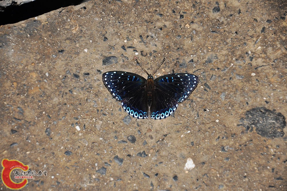 DSC_0585.jpg
