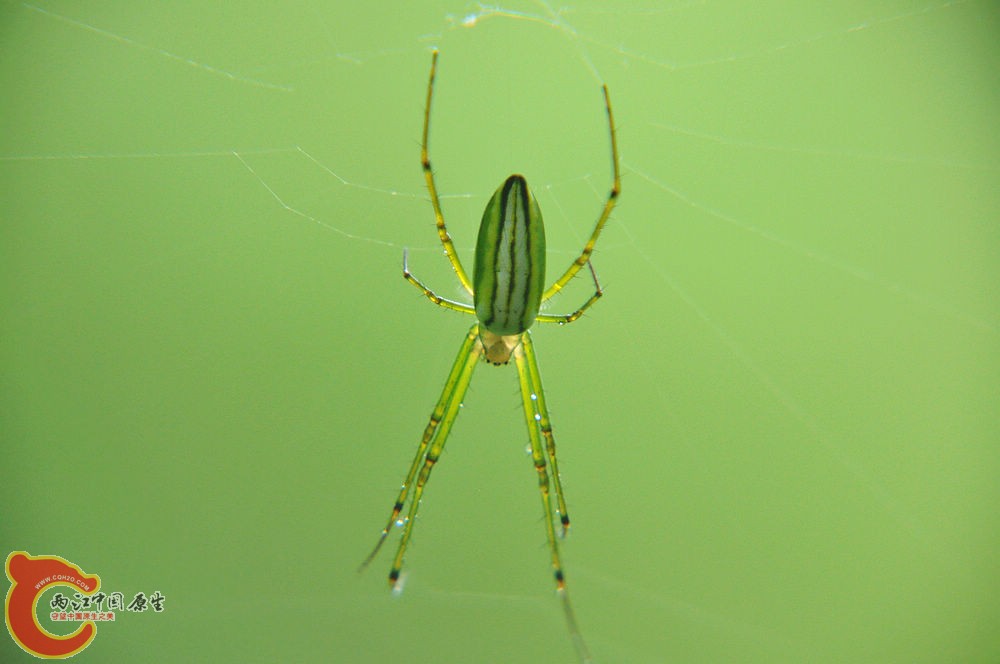 DSC_0615.jpg