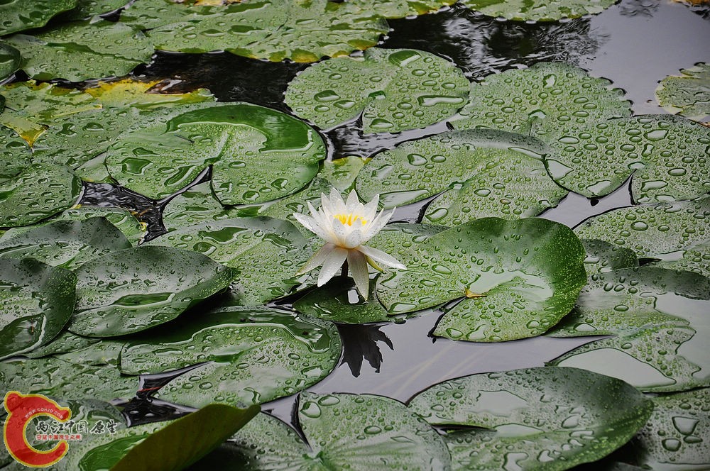 DSC_0625.jpg