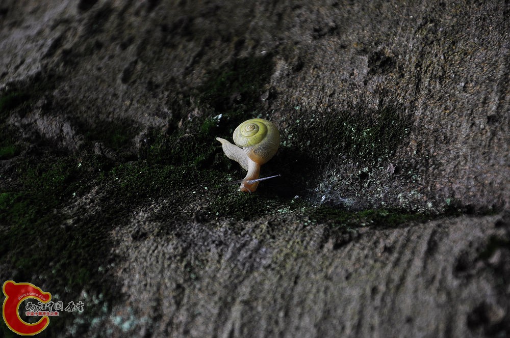 DSC_0926.jpg