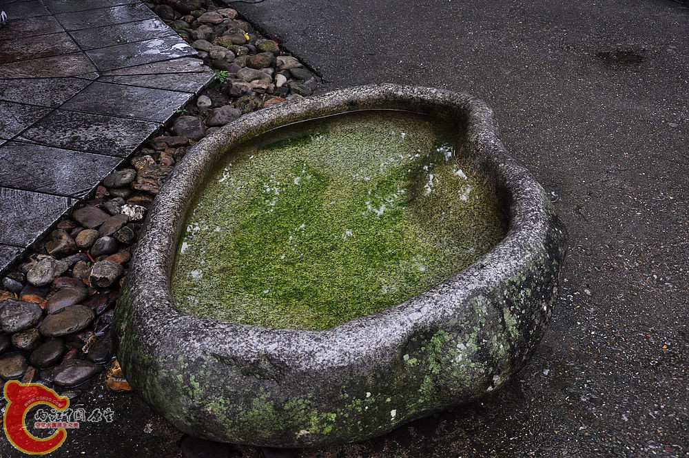 DSC_1032.jpg