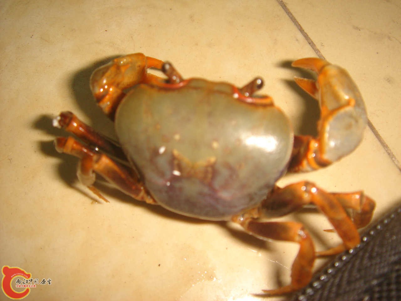 DSC06409.JPG