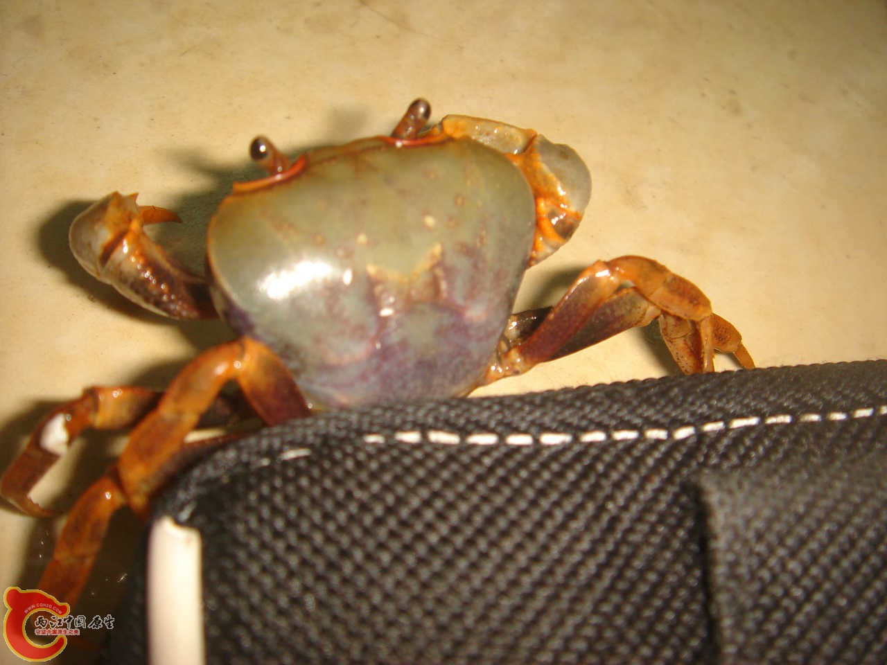 DSC06410.JPG